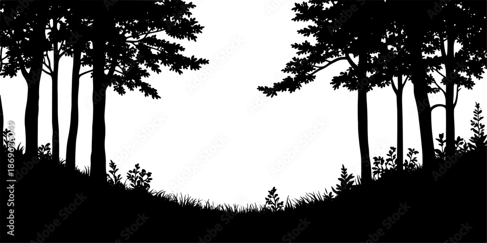 Fototapeta premium Forest Clearing Silhouette in Black and White