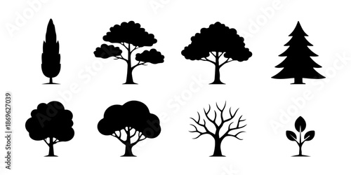 A collection of various tree types and foliage represented in a dark silhouette