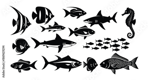 A collection of various black silhouette marine life including fish and seahorses