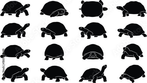 Large collection of sixteen black tortoise silhouettes showing various crawling and resting poses isolated on a white background for graphic design.
