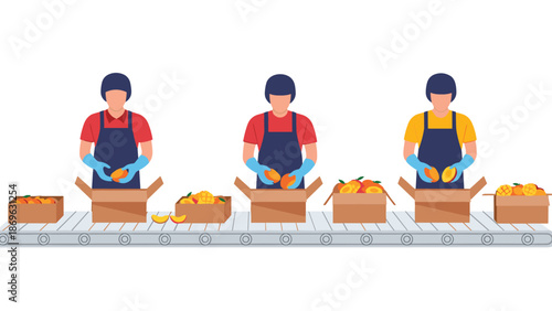 Three workers on a factory conveyor belt efficiently sorting and packing fresh mangoes into cardboard boxes, representing the fruit processing industry and food production.