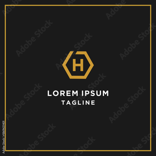 dh or hd hexagon logo