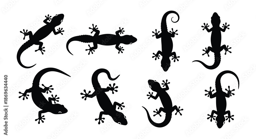 Fototapeta premium Silhouette collection of various lizard poses in black and white illustration