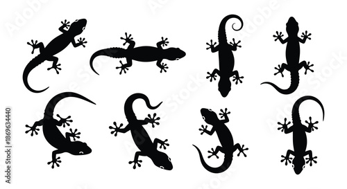 Silhouette collection of various lizard poses in black and white illustration