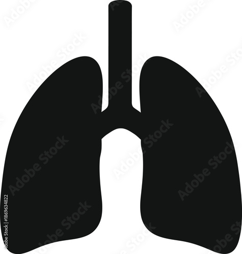 Human lung anatomy illustration