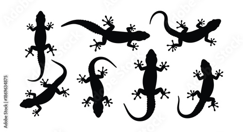 Silhouette collection of various lizard poses in black and white illustration