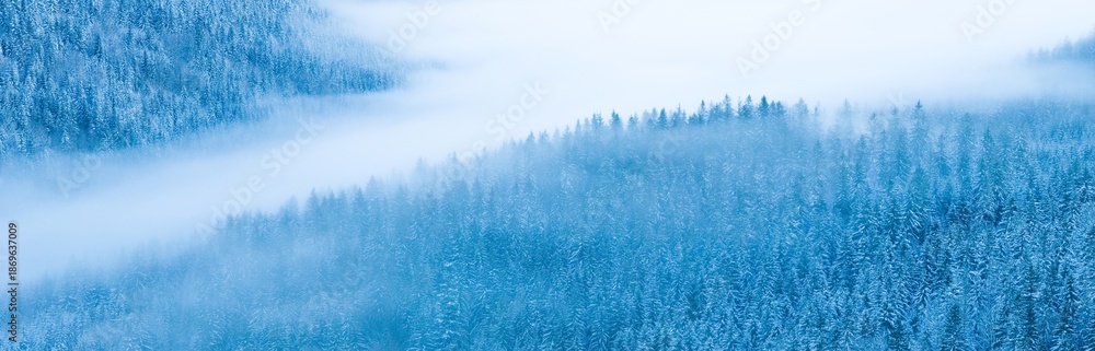 Fototapeta premium Misty winter forest landscape with layers of snow covered evergreen trees and low clouds. Soft blue tones and fog create a calm, atmospheric, and minimalist nature scene.
