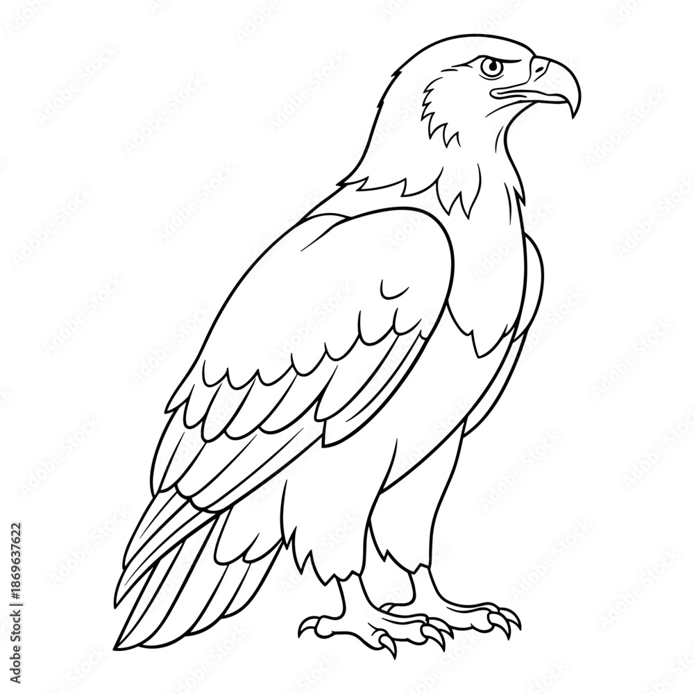 Fototapeta premium Eagle line art in black and white