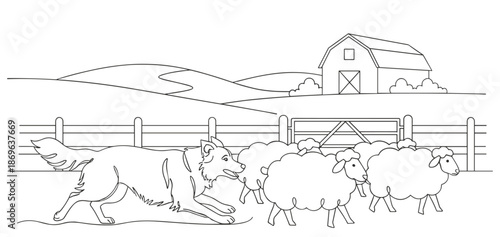 Border collie herding sheep against farm hills
