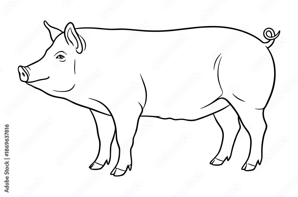 Fototapeta premium Pig profile against white background