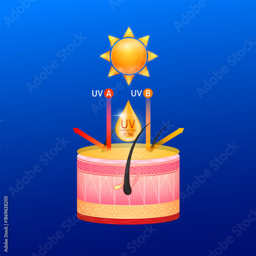 Sunscreen UV protection SPF 50+ PA+++. Orange cream drop are absorbed into skin. Light UVA UVB red orange arrows is reflected off the surface layer ultraviolet penetrate. Cosmetic products. Vector.