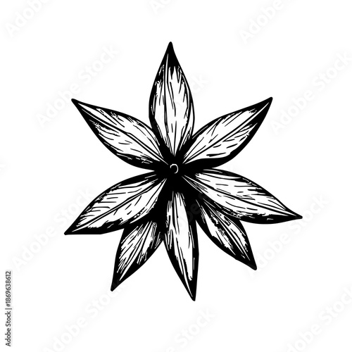 Minimalist black line art illustration of a single star anise pod on a clean white background, perfect for culinary and spice-related designs