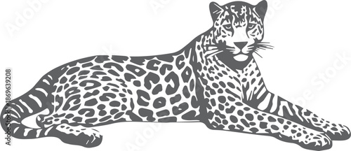 Black and White Leopard Illustration | Bold Walking Big Cat Vector, Jungle Predator Art Silhouette Collection