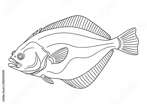 Flounder fish in line art style in black and white