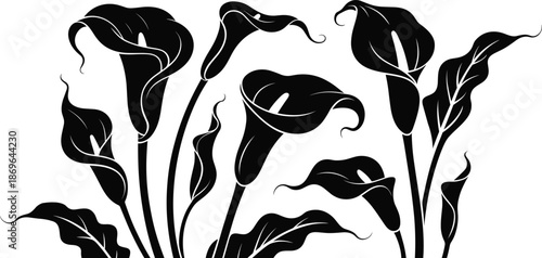Black and white silhouette of calla lilies and leaves on a white background calla lily flower
