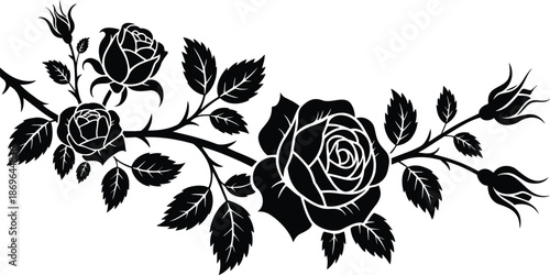 Black silhouette of a rose branch with blooming flowers and buds white