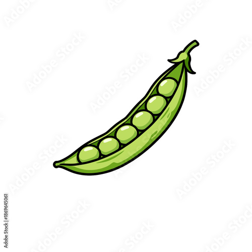 [Vector EPS]A fresh green pea pod with several peas inside showing healthy and natural food