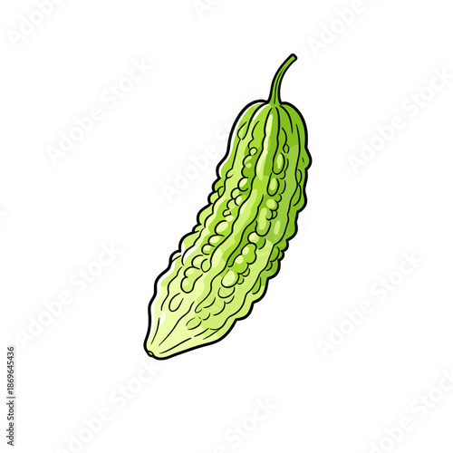 [Vector EPS]A green bitter gourd with unique texture and shape