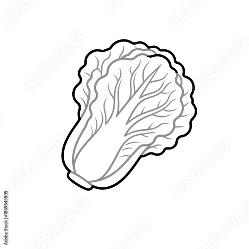 [Vector EPS]Fresh and healthy Chinese cabbage vegetable illustration