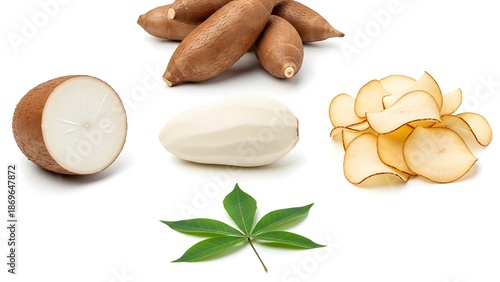 Taro root and leaf on white background