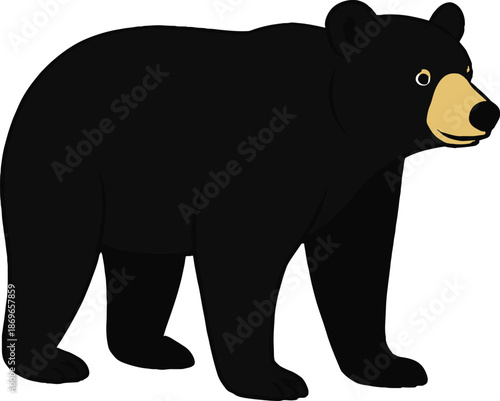 Simple illustration of a standing black bear