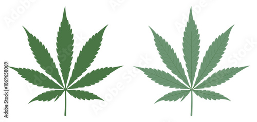 Two green cannabis marijuana leaves side by side, detailed vein texture, hemp plant foliage illustration for botanical and herbal concepts.