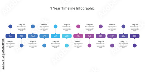 1 Year Timeline Roadmap Infographic with 12 Steps and Monthly Milestones.