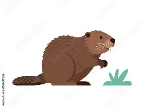 Adorable brown beaver illustration enjoying a green grassy environment with its characteristic flat tail prominently displayed