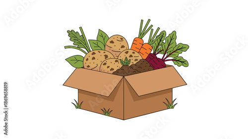 Freshly harvested organic vegetables including potatoes, carrots, and beets are neatly packed in a rustic cardboard box, ready for market.