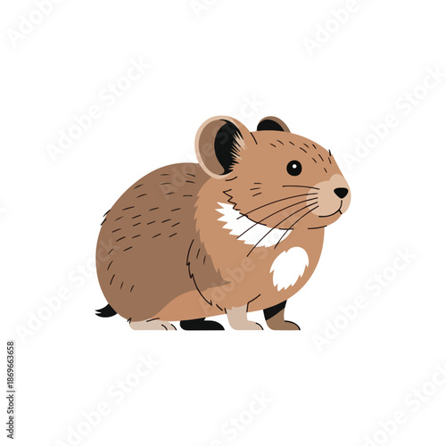 A cute furry brown domestic mouse with a long tail nibbles on cheese while isolated on a white background in a studio close-up of the small rodent mammal