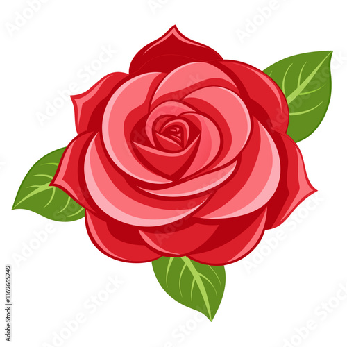 Vibrant red rose with lush green leaves on white background