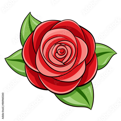 Vibrant red rose with lush green leaves on white background