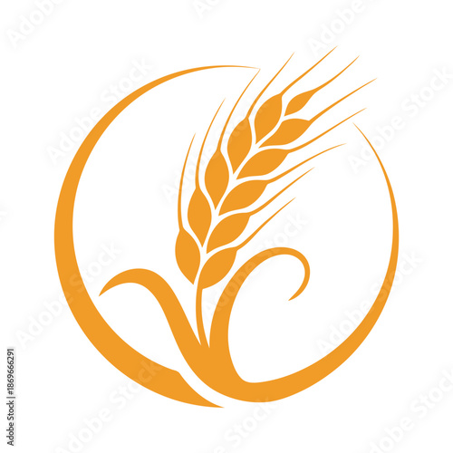 Golden wheat grain logo or emblem with curved lines