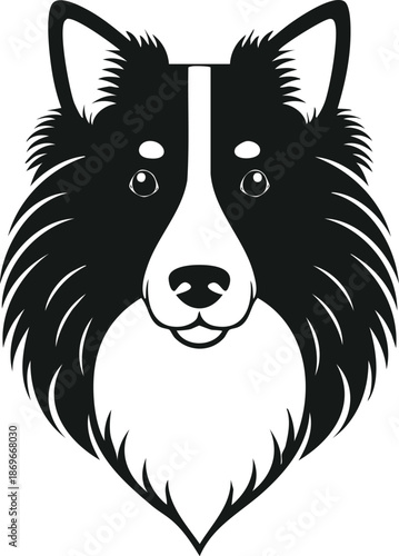 Border Collie dog face vector illustration, black and white pet portrait with alert expression. Cute canine head icon for pet grooming services, veterinary clinics, and animal welfare branding.