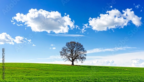 Lone Tree on Green Hill Under Blue Sky with Clouds.