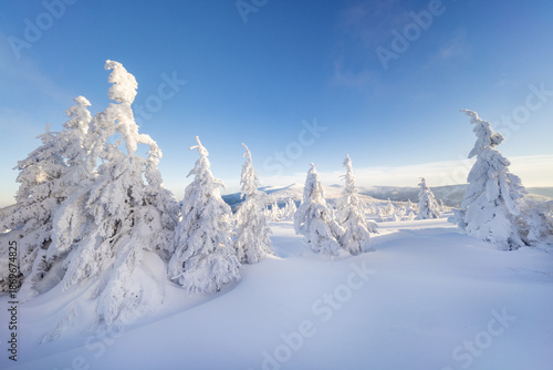 Beautiful Winter Mountain P...