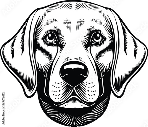 Detailed Black and White Line Art Illustration of a Labrador Retriever Dog Face Expressing Loyalty, Canine Friendship, Pet Care, Breed Standards, and Domestic Animal Portrait for Graphic Design.