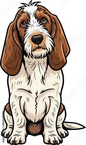 Petit basset griffon vendeen dog sitting tilting head cute curious pose