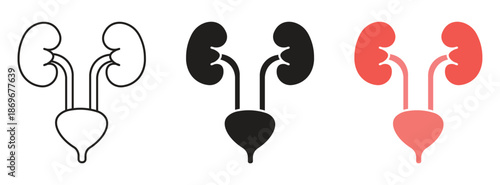 Urology icon set. Human Urinary System Line Icon isolated on white background. Vector illustration.