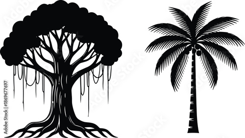 Banyan and palm tree silhouettes side by side, foliage and root contrast, tropical nature concept, flat vector illustration