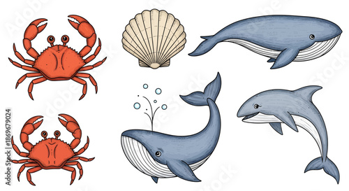 Collection of marine animals including whales, dolphins, crabs, and seashells, depicted in a simple illustration style