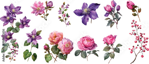 spring flowers vector illustration