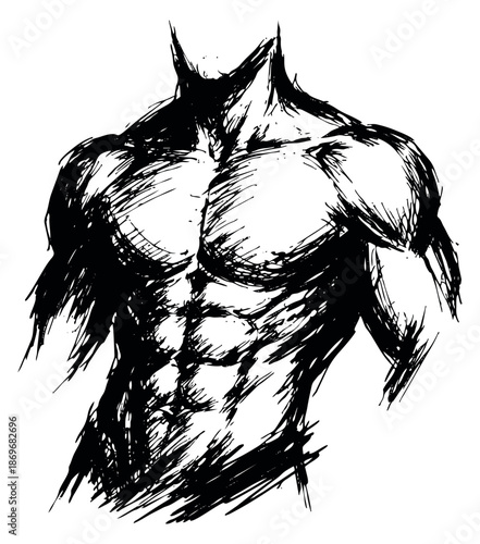 Hand drawn line art illustration of a muscular male torso depicting strength and fitness for sports and health promotions