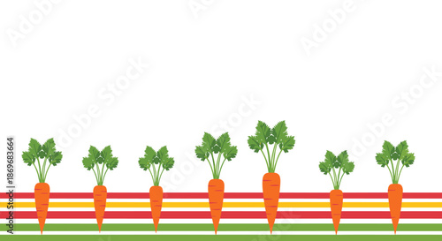 Graphic illustration of fresh orange carrots growing in a row with green tops against a background of colorful soil layers.