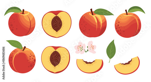 Assorted peach fruit set featuring whole peaches, halves with stones, slices, green leaves, and delicate pink blossoms.