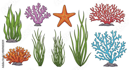 Diverse collection of underwater botanical elements features green seaweed, vibrant purple and blue corals, and an orange starfish on the seafloor.