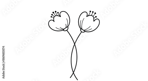 Simple hand drawn illustration of two flowers with their stems crossed at the bottom in a delicate black and white line art style.