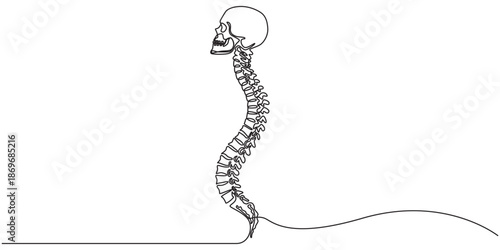 one line spine, Continuous one line drawing bones of human hand. Wrist bones in single line art vector illustration. Editable stroke, Chiropractor spine. Continuous one line drawing on white back.