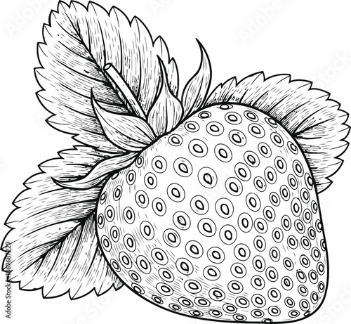 Hand-drawn strawberry illustration