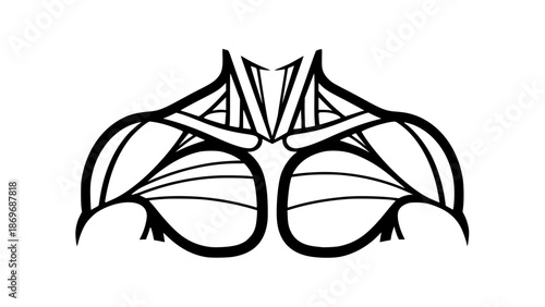 Flat vector illustration of human shoulders isolated, fitness anatomy design, gym training concept, clean outlines, modern sports illustration